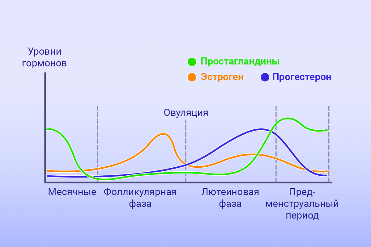 Такие американские горки происходят в организме женщины каждый месяц. Самое важное событие, связанное со сбоями в ЖКТ – резкое падение уровня прогестерона, которое вызывает такой же резкий подъем концентрации простагландинов.