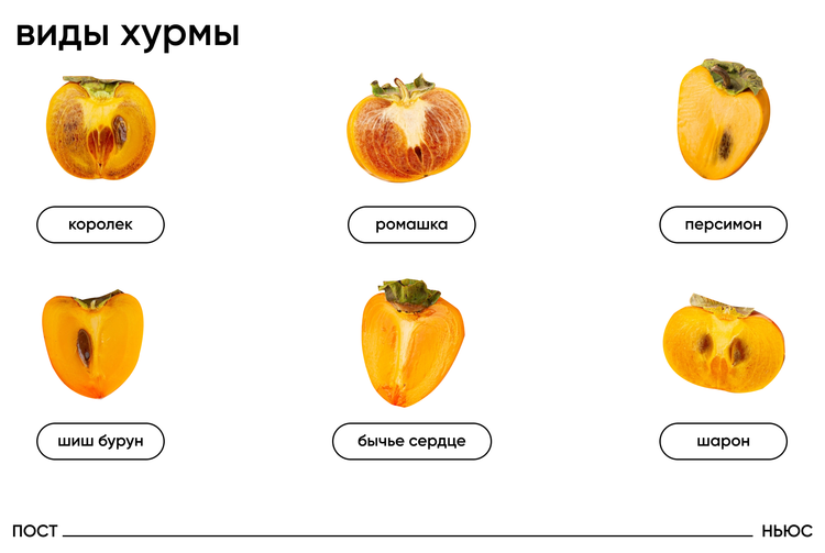 Хурма королек: что это, почему так называют, есть ли такой сорт, отличие королька от обычной хурмы