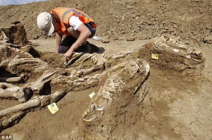    раскопки //Фото с сайта archaeology.ua