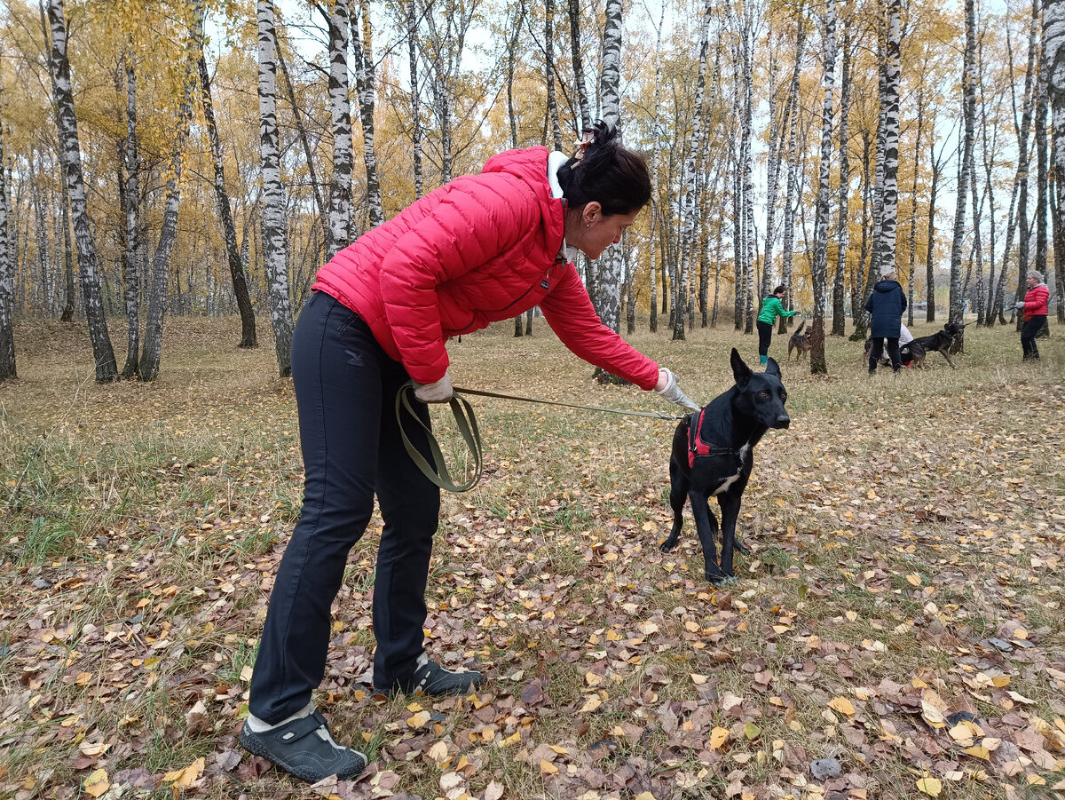С нежными собаками диалог надо выстраивать медленно и аккуратно. Фото сделано на одном из наших ознакомительных выездов в приюты.