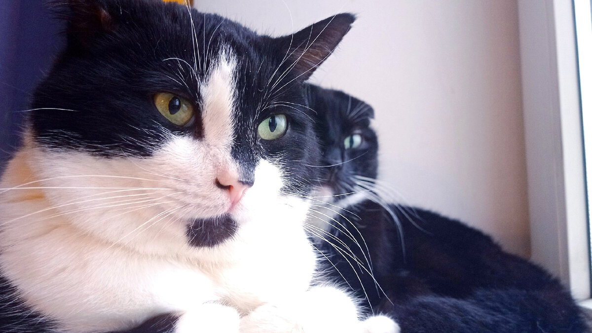 Геральт и Сурен не склонны идеализировать свое прошлое, там было холодно и голодно