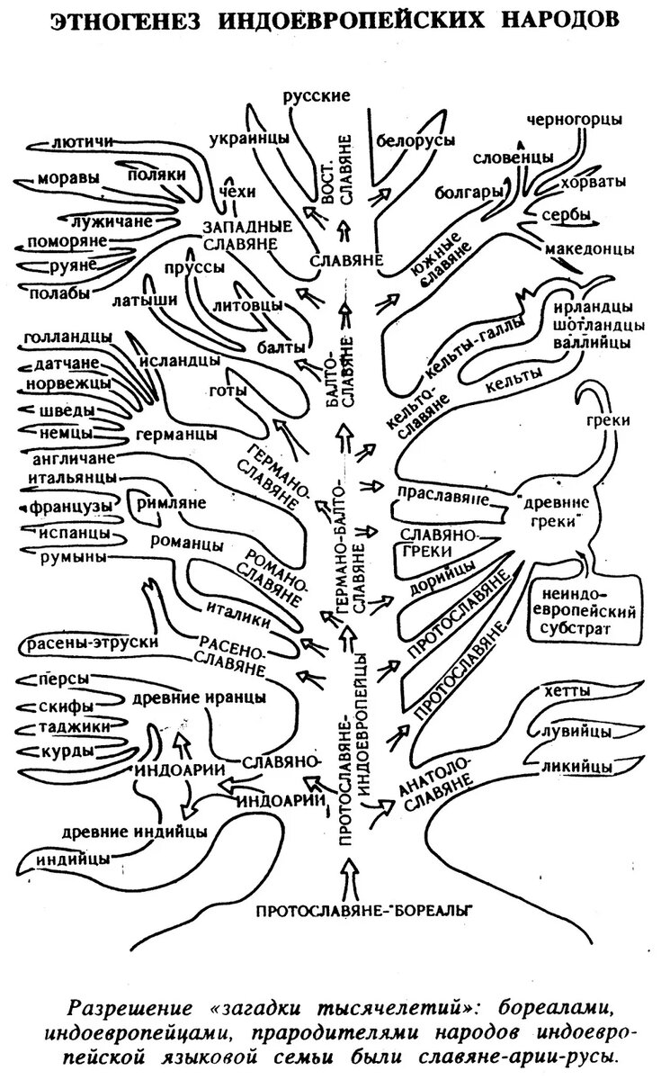 Индоевропейская семья славянская. Схема индоевропейская языковая семья таблица. Древо индоевропейских народов. Индоевропейская языковая семья схема. Генеалогическое Древо славянских богов.