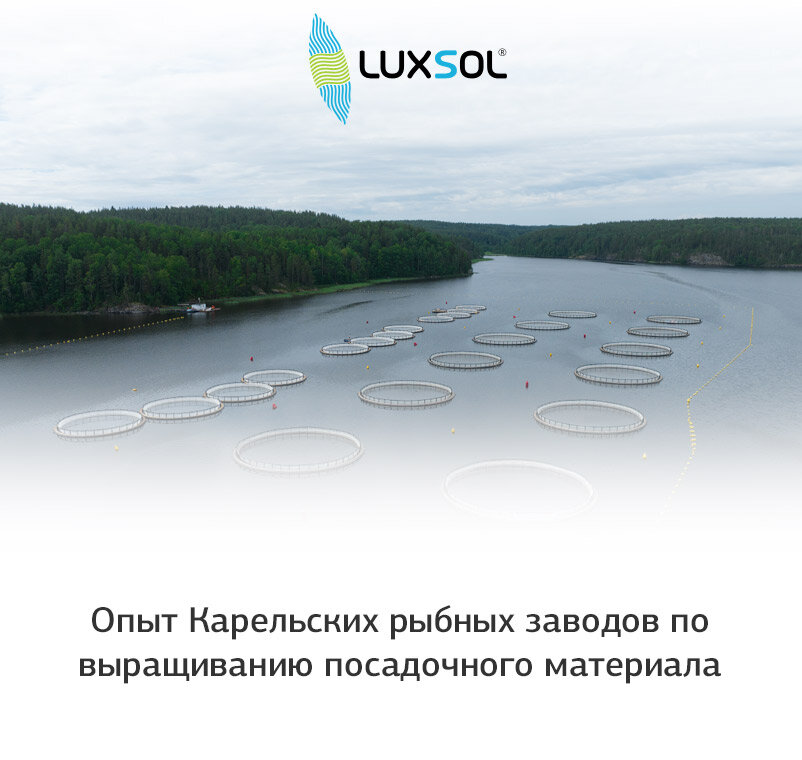 Опыт Карельских рыбных заводов по выращиванию посадочного материала