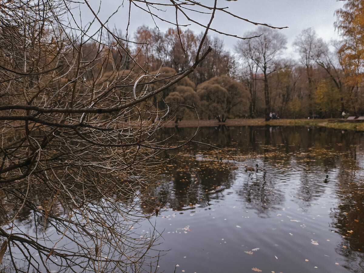 Нарышкинский пруд. Филевский парк. 