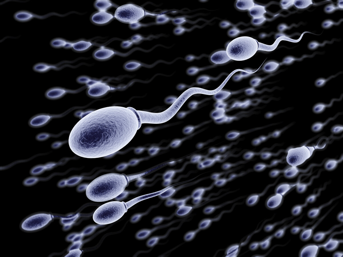 попадание спермы в организме фото 107