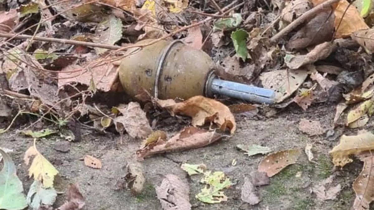     Гранату случайно нашли в одном из дворов Красноармейского района Волгограда, сообщает общественник Алексей Ульянов в своем телеграм-канале.