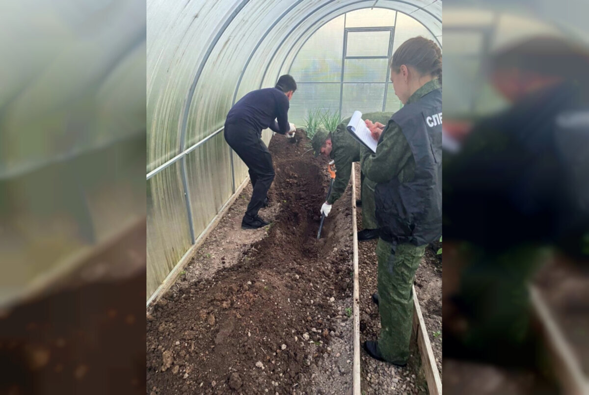 В лаишево закопал. В лаишево закопал. В лаишево закопал. В лаишево закопал. Следователи великого новгорода.