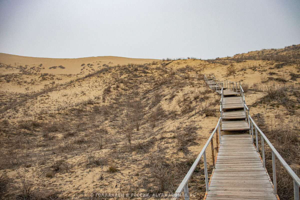 Фото: Голландец в России