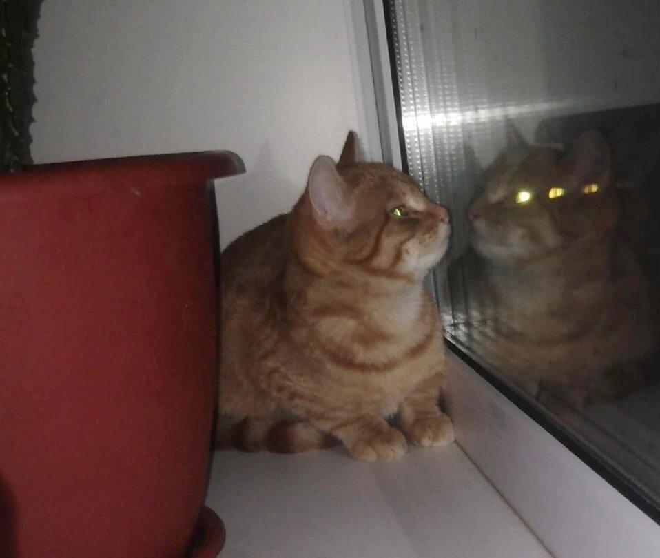 Что там за окном?