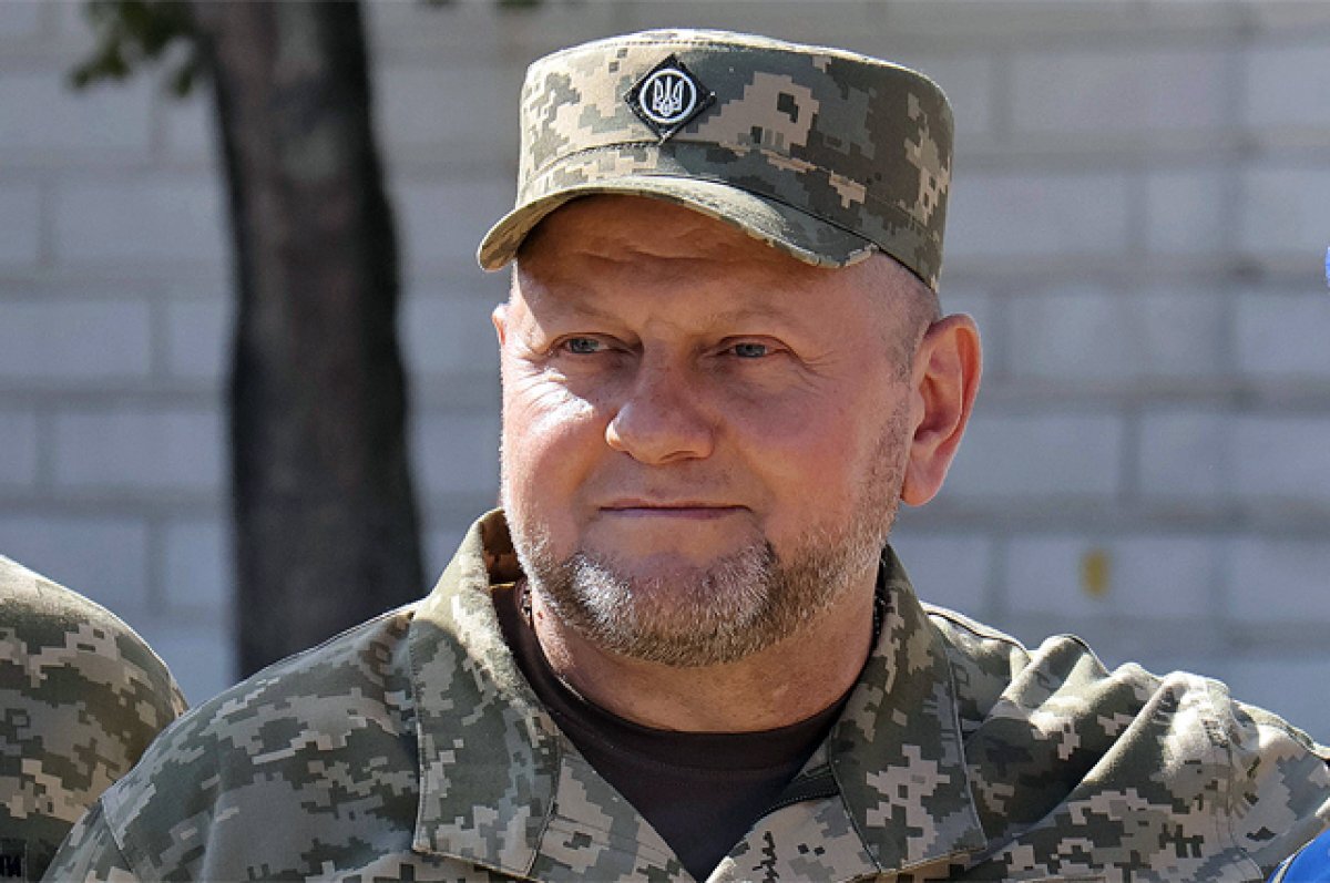    Валерий Залужный.