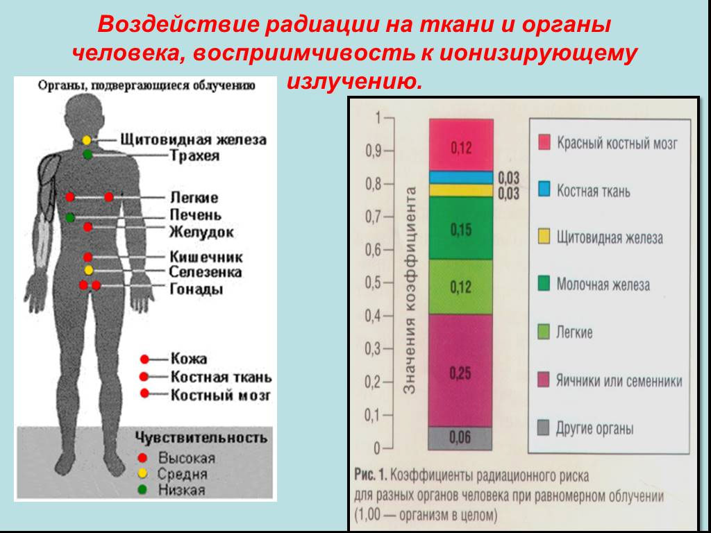 Проект на тему влияние радиации на здоровье человека