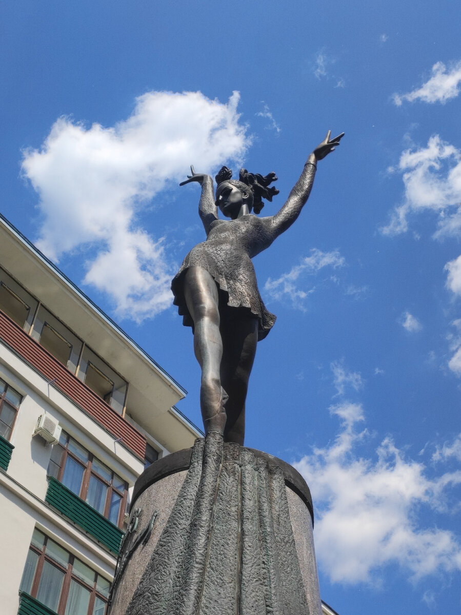 Плисецкая улица в спб