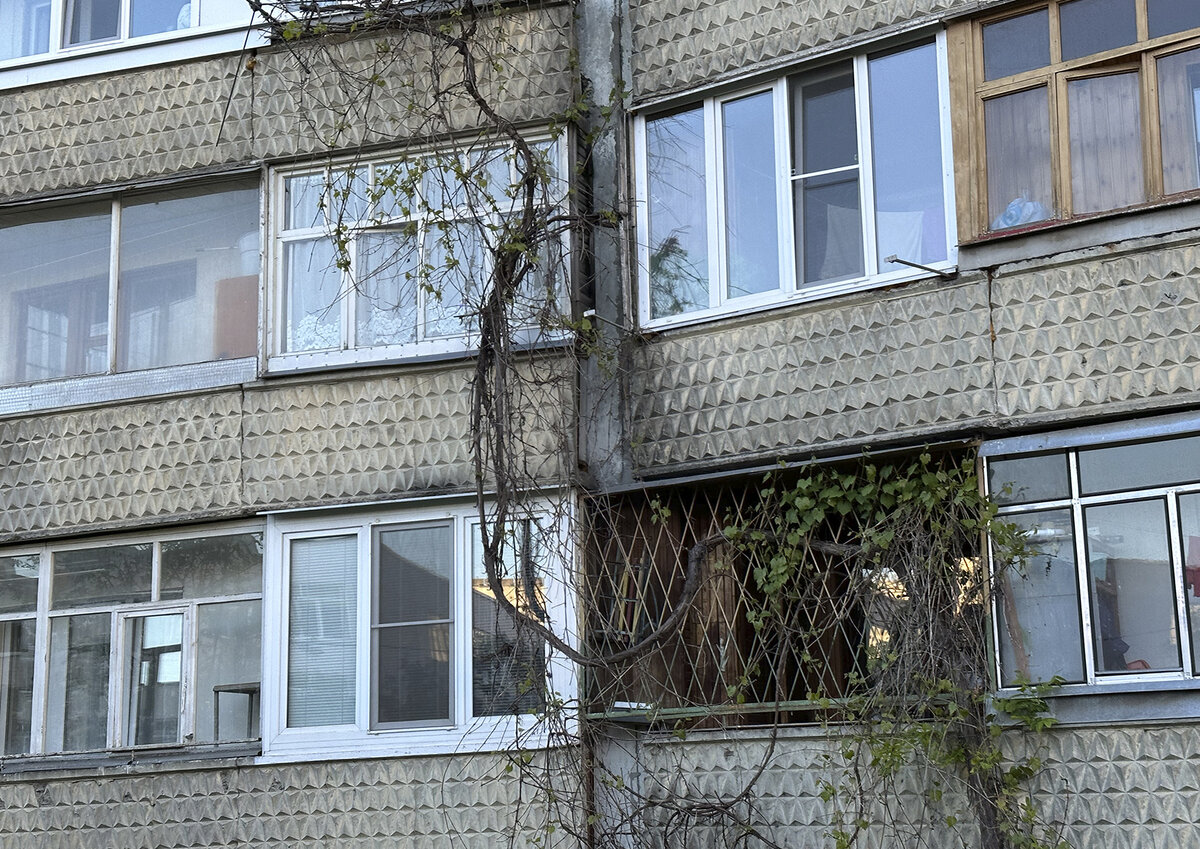 Фото: Московские ведомости