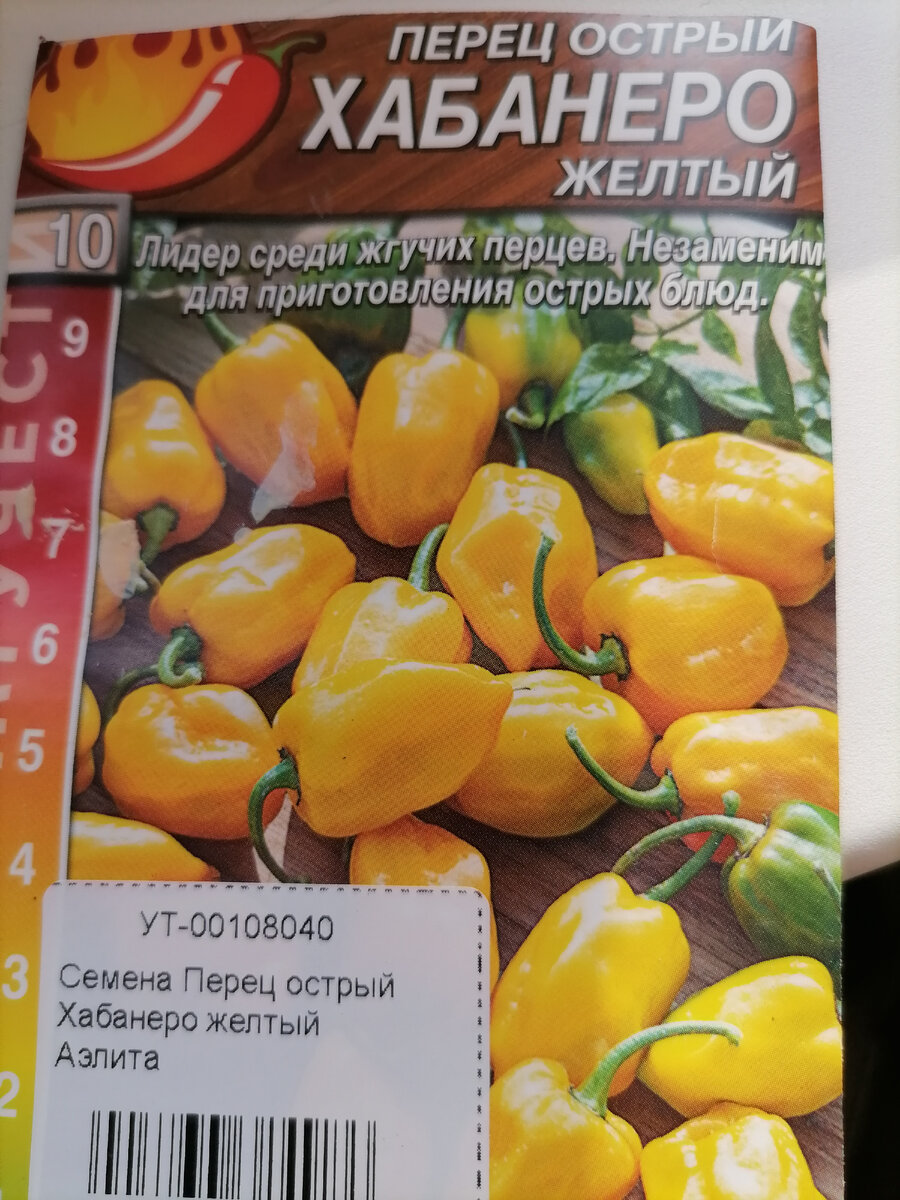 Разве можно пройти мимо таких красавчиков? 