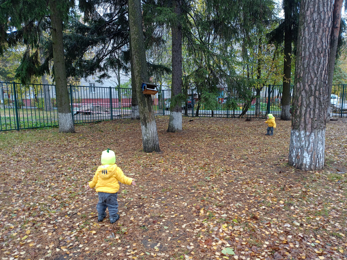 На территории сада, увидели белку! 