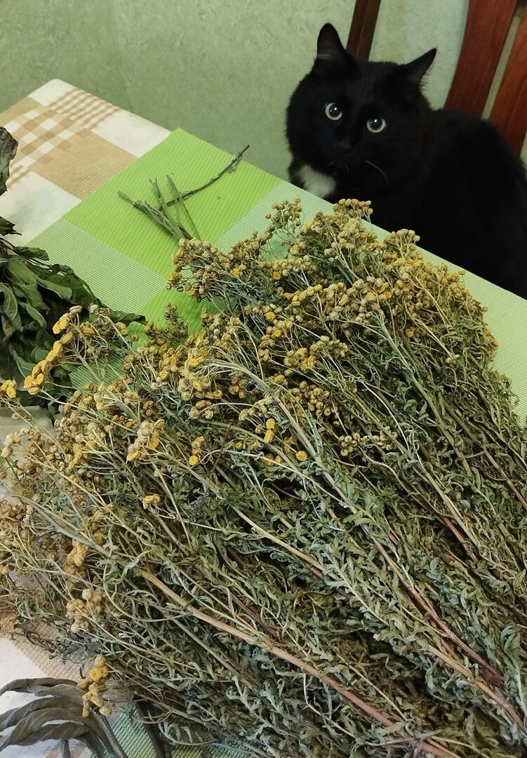 С совершенно невинными глазёнками!