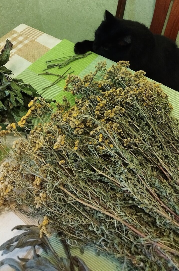 И таким же невинным желанием невинными лапёшками умыкнуть чего-нибудь)))))