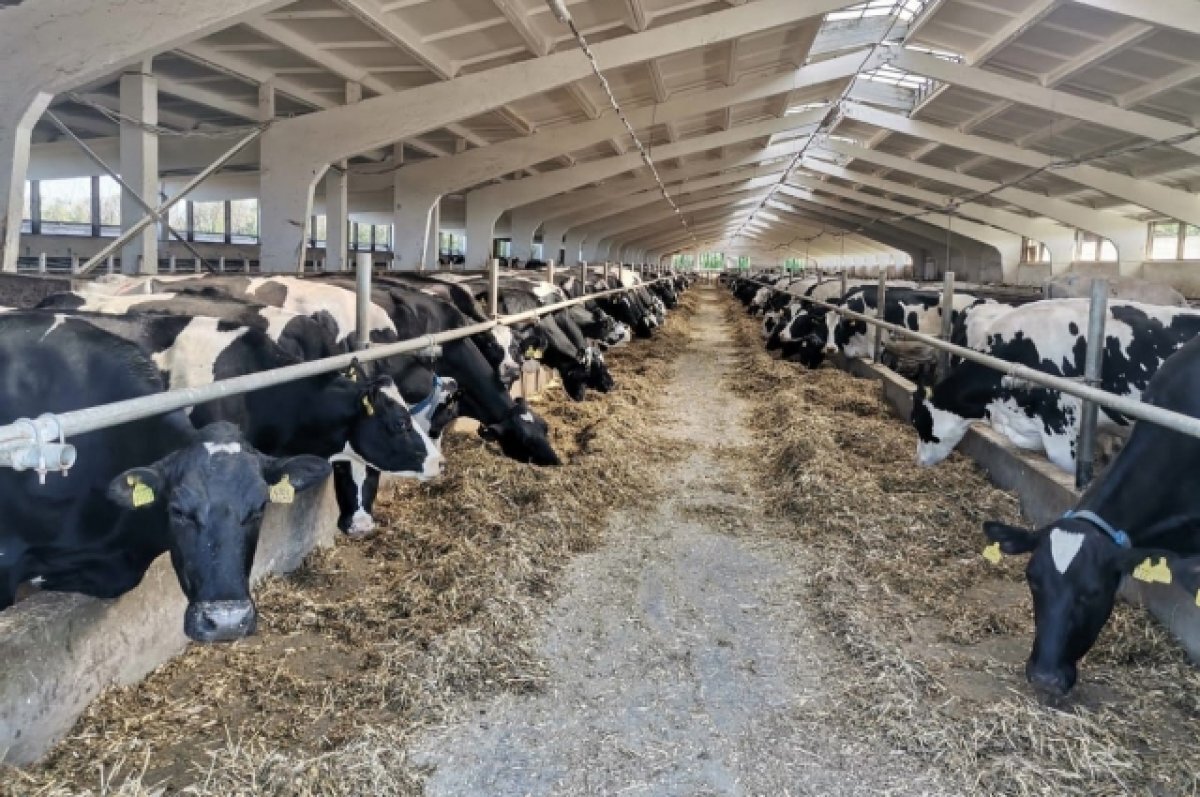    24 декабря на выставке «Россия» пройдёт день Брянской области. Сам же павильон, как и другие, будет работать с 4 ноября по 12 апреля без выходных с утра до позднего вечера.