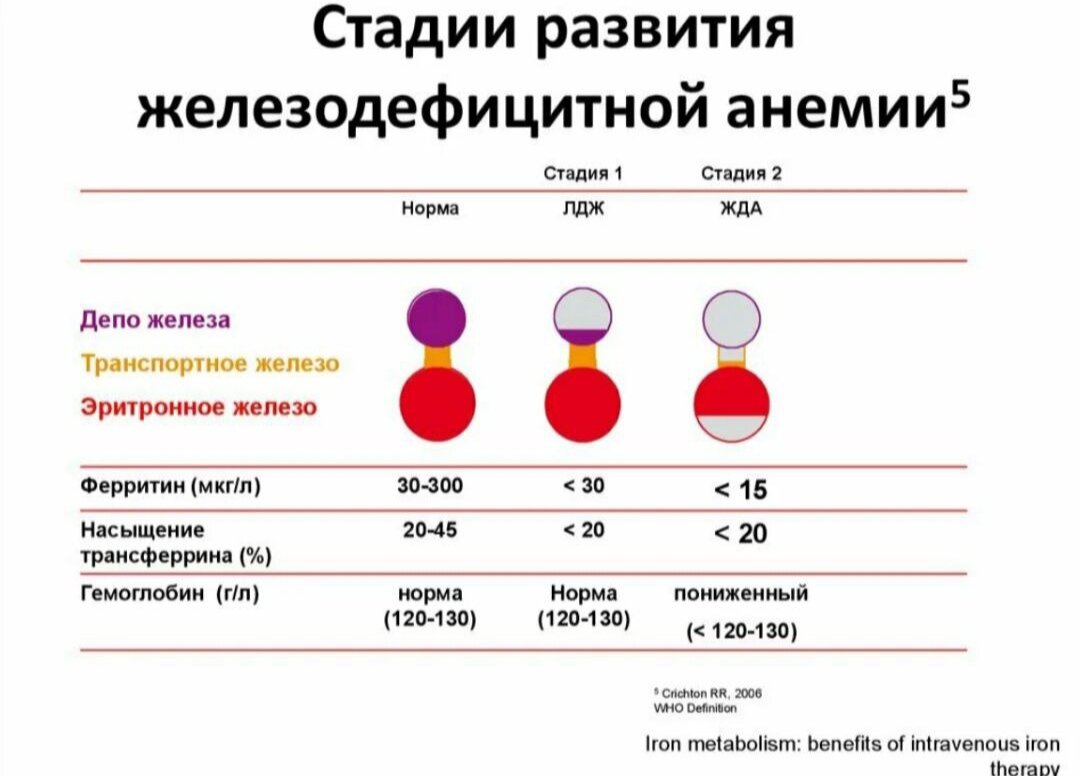 О чем говорит пониженный. Стадии развития железодефицитной анемии. Стадии развития дефицита железа. Железодефицитная анемия показатели ферритина. Показатели ферритина при анемии у детей.