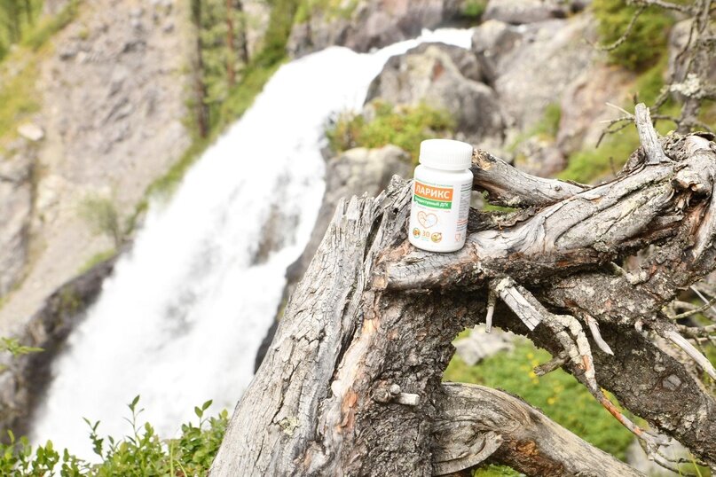 Комплекс «ЛАРИКС»: ДГК+арабиногалактан+экстракт облепихи - надежная защита от ОРВИ