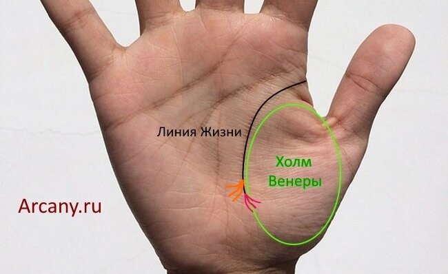 Холм Венеры. foto-na-telefon.ru