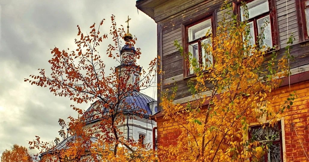 Свежая атмосферная подборка осенних лесов Владимирской области от ЗАО «Муром»