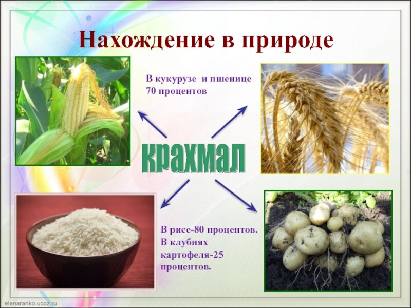 Где в природе встречается. Нахождение в природе крахмала и целлюлозы. Нахождение в природе крахмала. Крахмал в природе. Нахождение в природе копхмада