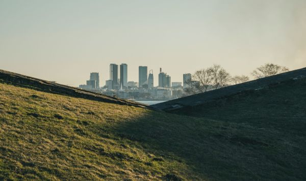 © unsplash / Denis Shlenduhhov