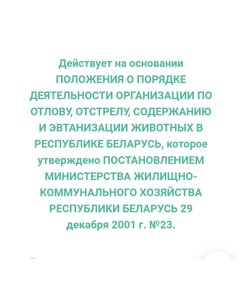 Малышка попала в усыпалку. Помогите ее вывезти🙏🏻 | Спасение собак из  усыпалок Белоруссии | Дзен