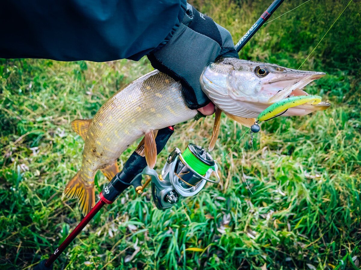 Схема устройства искусственных водоемов. Дачный пруд с биоплато. Бассейн с биоплато. Объем пруда пруды. Караси в пруду на даче.