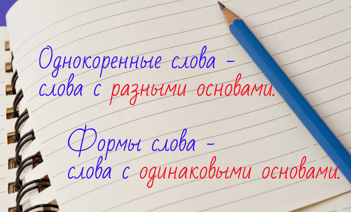 Формы слова и однокоренные слова | БЫСТРЫЕ ПРОВЕРКИ, НЕОБХОДИМЫЕ ЛЮБОМУ  ШКОЛЬНИКУ | Русский на пальцах | ЕГЭ с Оксаной Савченко | Дзен