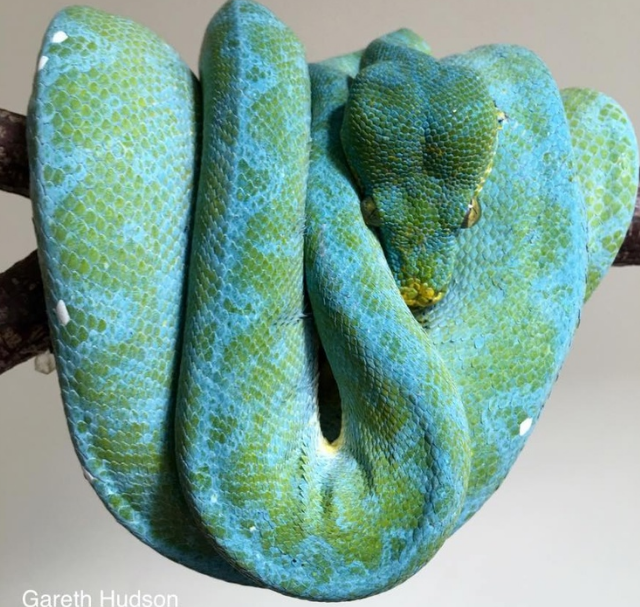 Manokwari. фото Gareth-Hudson