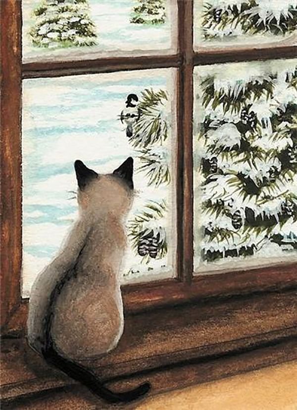 Коты на окне. Кошки на окошке. Кот на окне зима. Зима кот на окошке.