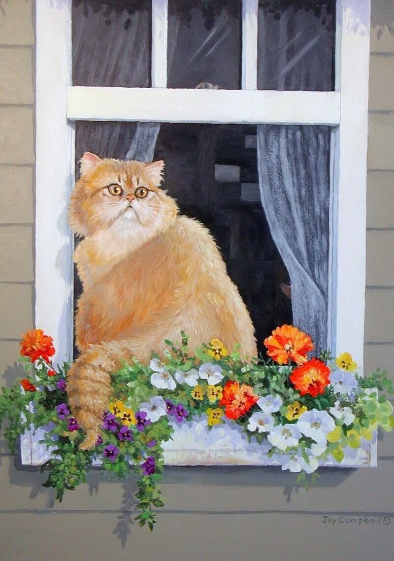 There is a cat in the window. Коты художники Джой Кэмпбелл. Джой Кэмпбелл художник. Кошка на окне. Кошки на окошке.