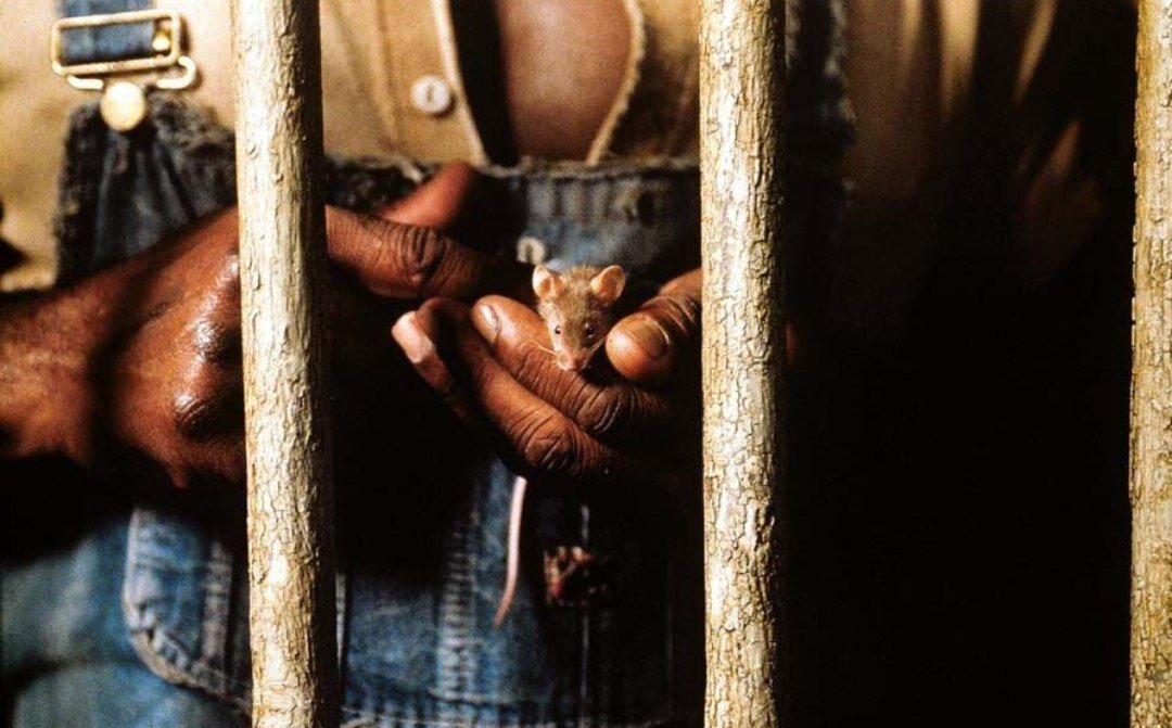 Кадр из фильма "Зеленая миля" 1999 года