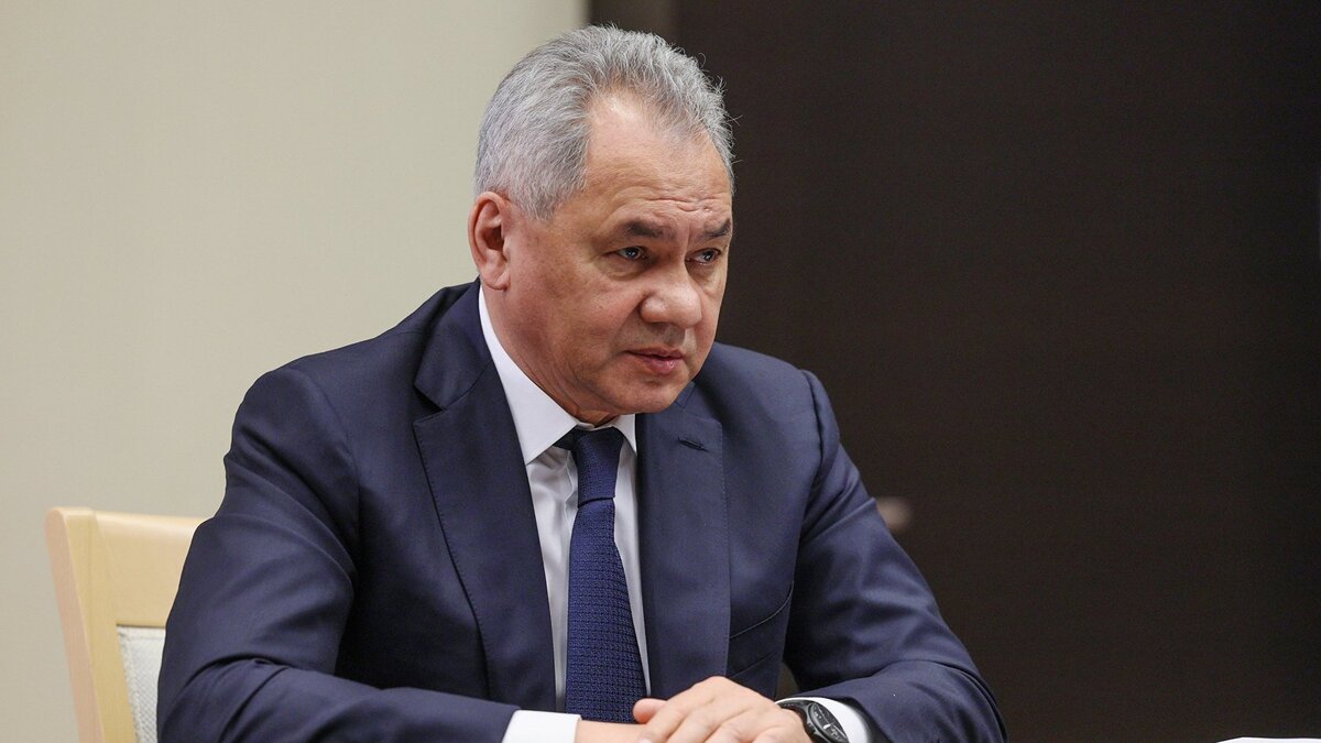    Министр обороны РФ Сергей Шойгу© РИА Новости . POOL/Гавриил Григоров