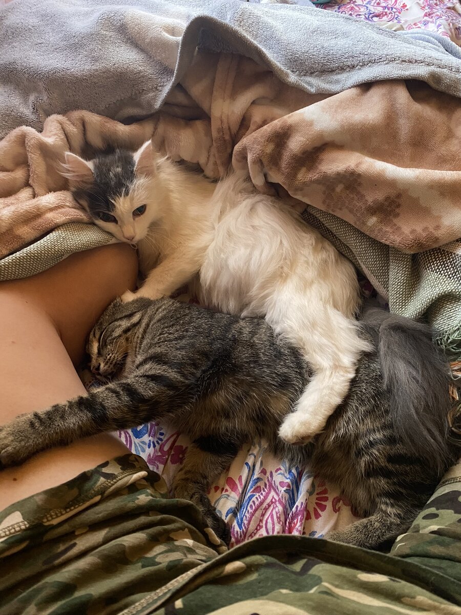 За день до 5 сентября