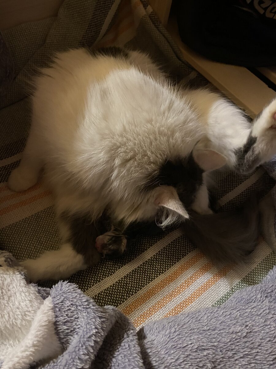 Первое фото Серика, и никто об этом не догадывается, разве только его мама