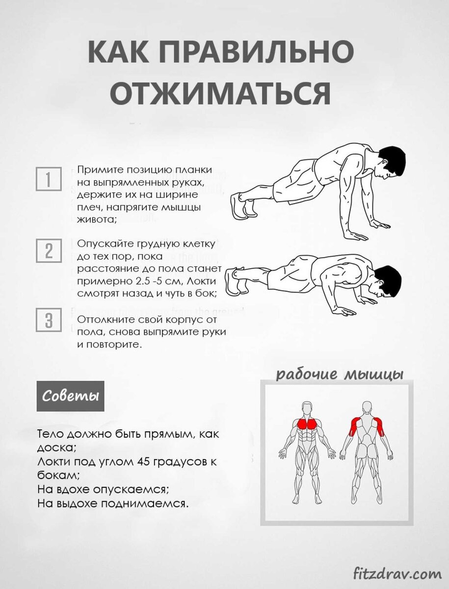 Правильная методика отжимания от пола