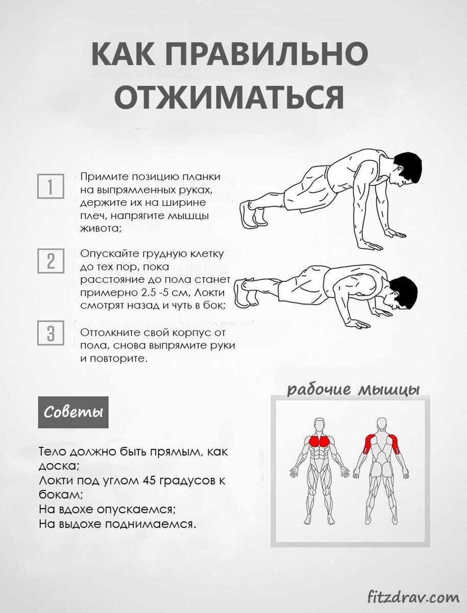 Схема отжимания от пола для роста мышц