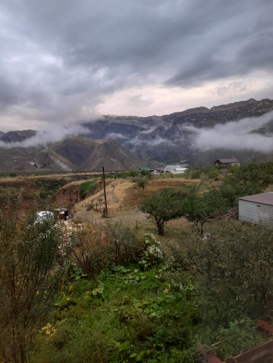 Вид от нашего дома в Коммуне