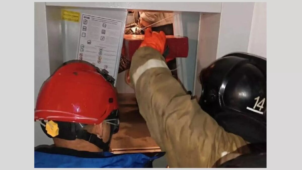     В Воткинске спасатели помогли выбраться из лифта застрявшим в нем 48-летнему мужчине и его дочери. Об этом сообщили в Поисково-спасательной службе Удмуртии.