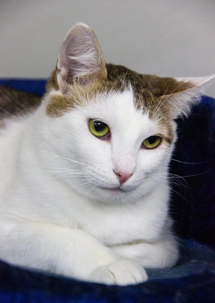 Только посмотрите на этот оттенок глаз!