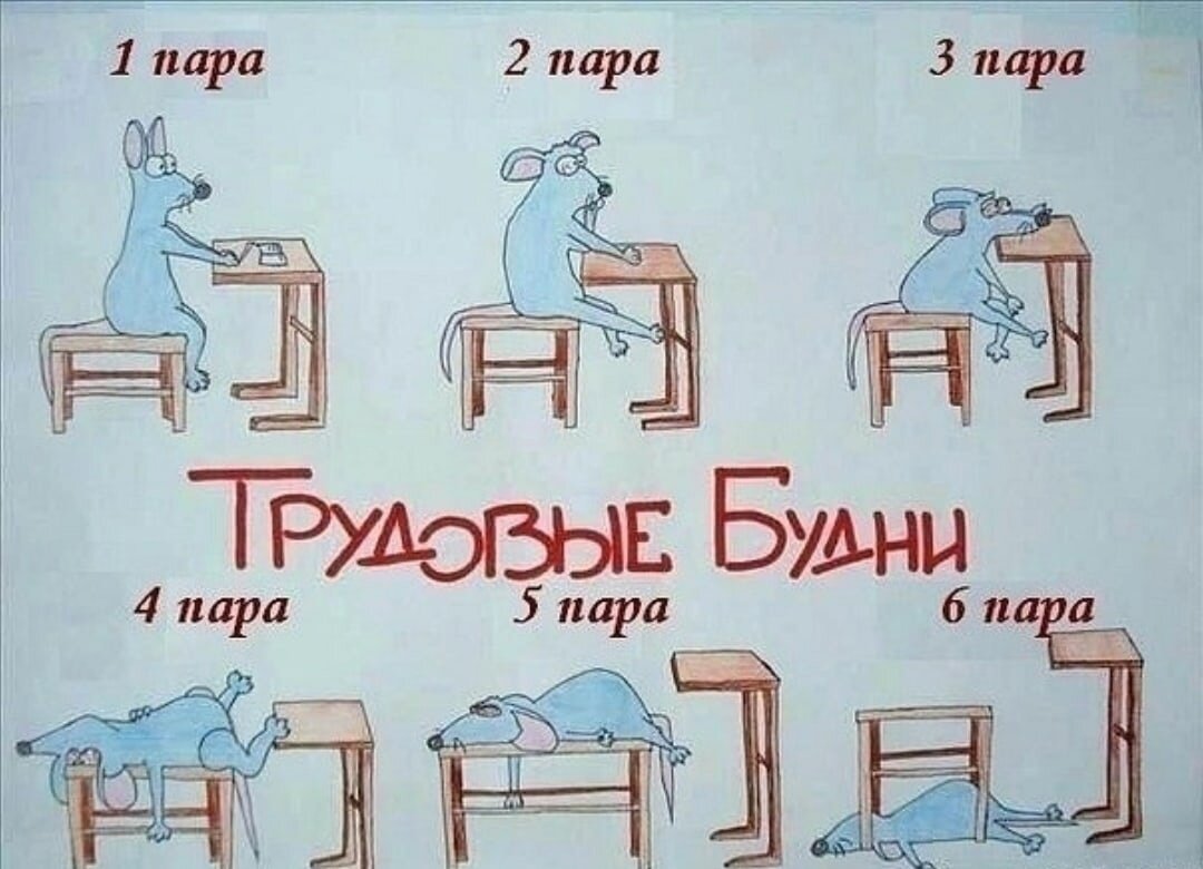 Картинки про будни