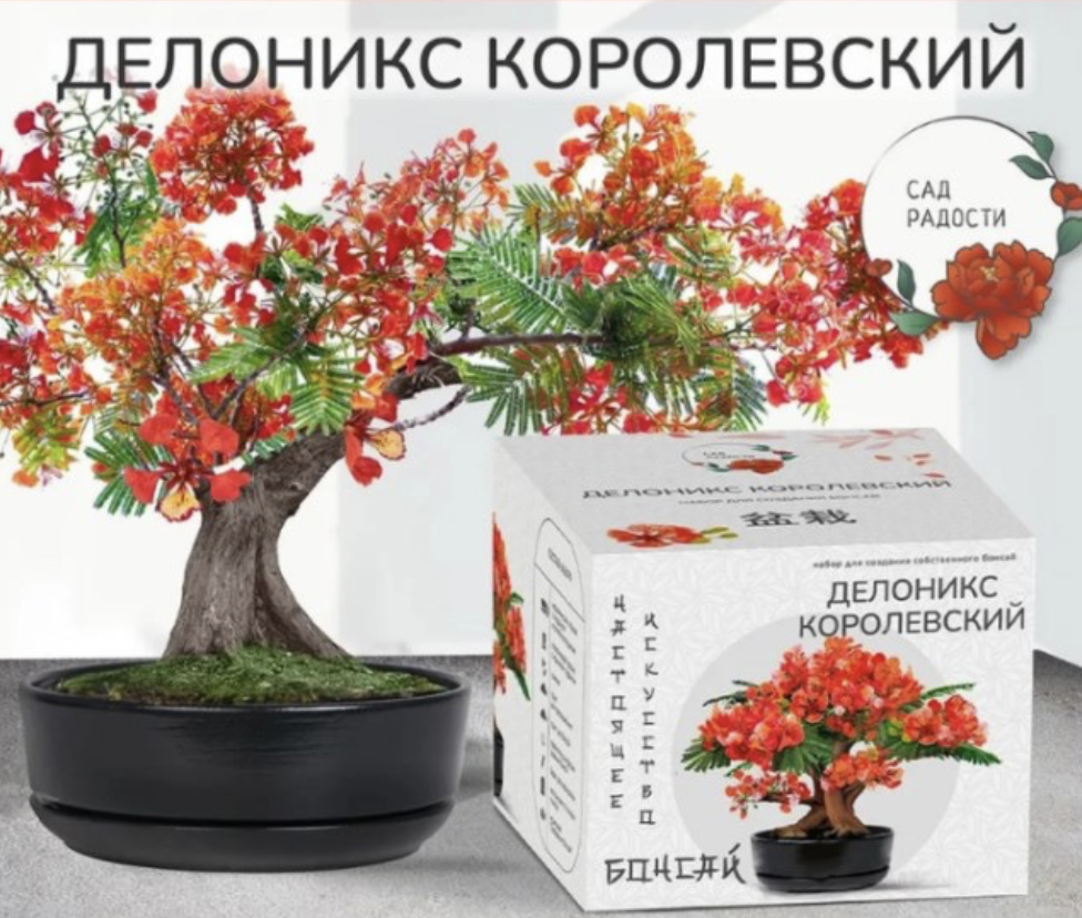 Большой набор для выращивания бонсай (разные варианты) 1650 руб