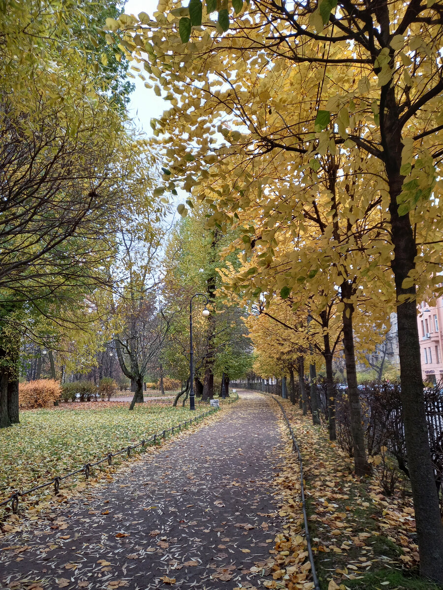 Фото Никитина Дениса