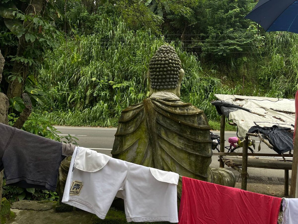 На фото Будда, который отвернулся, чтобы не смотреть, как порой поступают некоторые из его последователей...