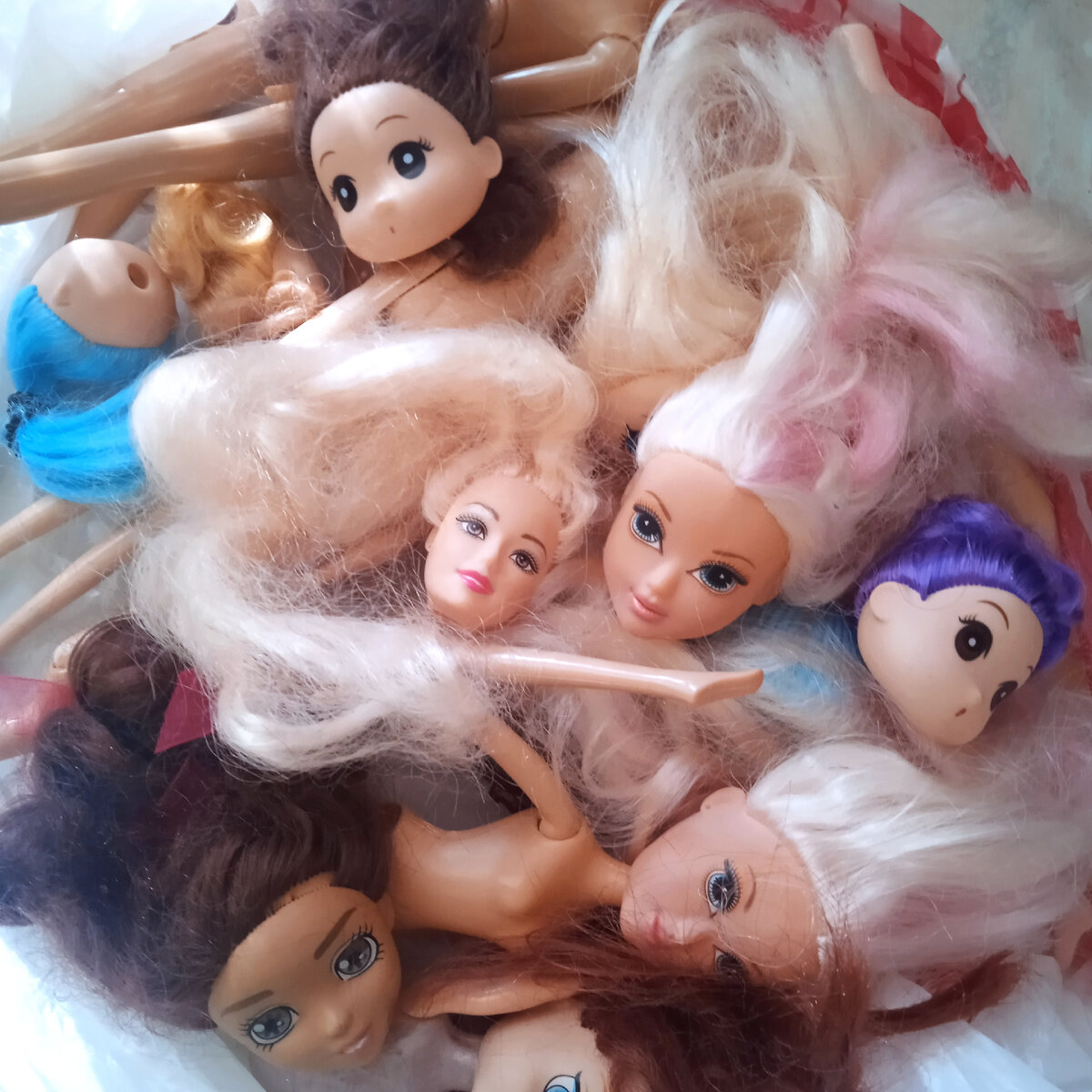 Фото автора. 