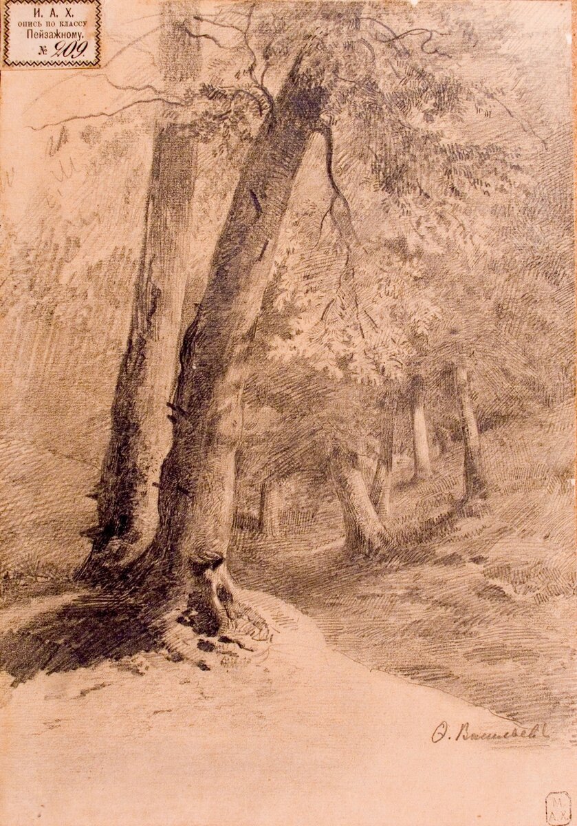 Федор Александрович Васильев (1850—1873)
Стволы деревьев
Конец 1860-х
Бумага, графитный карандаш
НИМ РАХ
