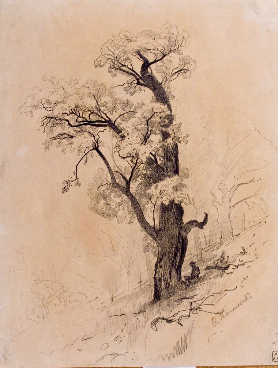 Федор Александрович Васильев (1850—1873)
 Дерево
Конец 1860-х
Бумага, графитный карандаш
НИМ РАХ